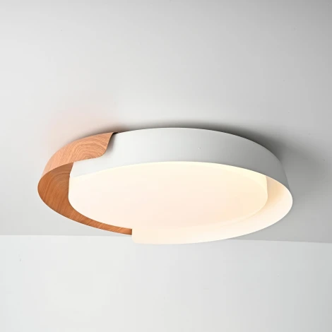 Круглый потолочный светильник с пультом LED Lu Carte LC-11-1732