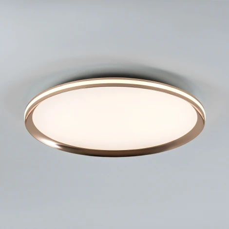 Потолочный светильник светодиодный с пультом с регулировкой цветовой температуры LED4U LED4U L3020-500 GD