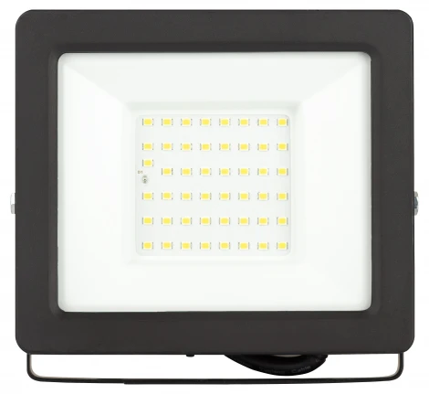 Прожектор уличный светодиодный с датчиком освещенности ЭРА LPR-04 LPR-042-3-65K-050