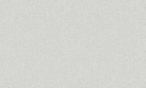 Обои виниловые Erismann Bolero 60192-02 10,05 x 1,06 м