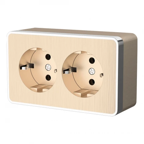 Розетка двойная с заземлением Gallant (шампань рифленый) Werkel W5072110 (a051037)