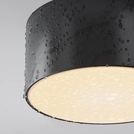 Уличный потолочный светильник Maytoni Zon IP O430CL-L15B3K (LED, 220V, круглые)