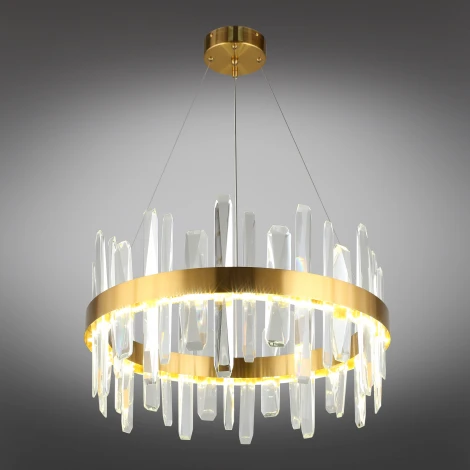 Подвесная люстра Aployt Leon APL.028.03.70