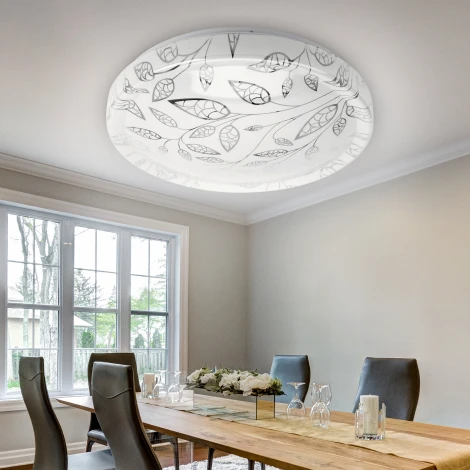 Потолочный светильник светодиодный ЭРА SPB-6-50-6,5K Syuzi