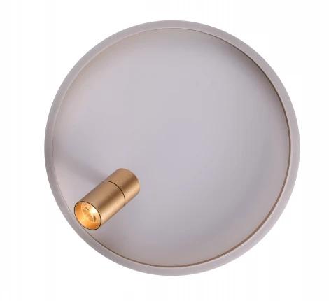 Потолочный светильник круглый со спотом Zortes Raizy ZRS.1888.04 (LED, 220V, круглые)