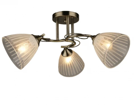 Потолочная люстра на штанге Мелодия Света SL1N 000027959