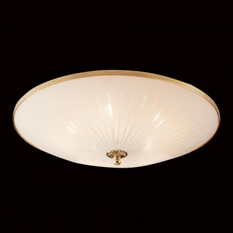Потолочный светильник Citilux 912 CL912521