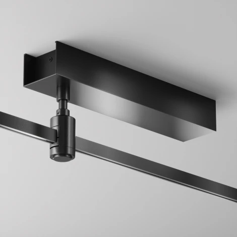 Основание потолочное Short для блока питания с вводом питания Flarity черный Maytoni Accessories for tracks Flarity TRA156С-BB1-B