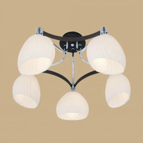 Потолочная люстра Citilux Iris CL143151