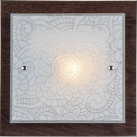 Настенно-потолочный светильник Freya Constanta FR4812-CL-01-BR