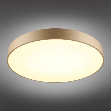 Потолочный светильник Virzhini APL.023.07.68