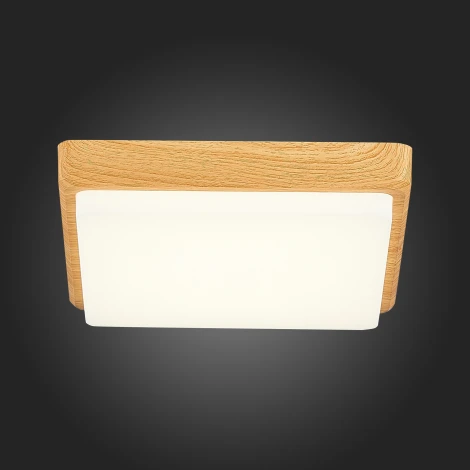 Потолочный светильник Evoluce Taddio SLE200202-01