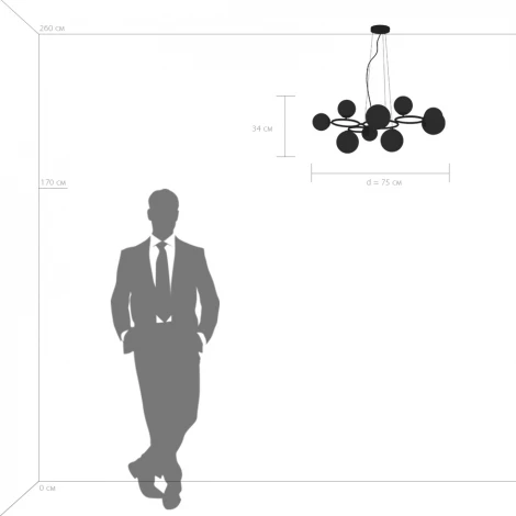 Подвесная люстра Lightstar Globo 815091 (220V, на тросе, шарики, молекулы)