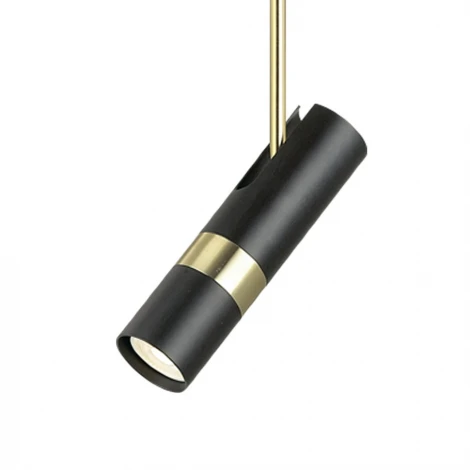 Подвесной светильник Lumien Hall Sauris LH8020/1P-BK-GD