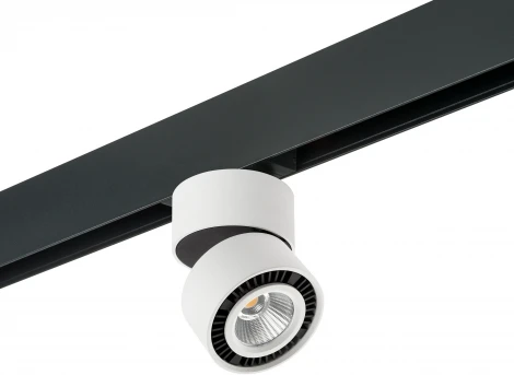 Трековый светильник однофазный 220V Lightstar Forte Muro PRO213816 (круглые)