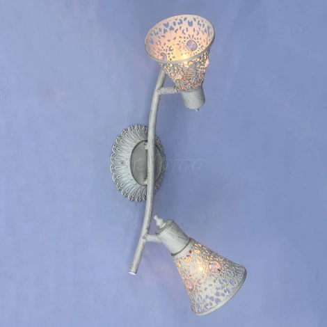 Спот Favourite Arabian Drim 1796-2U