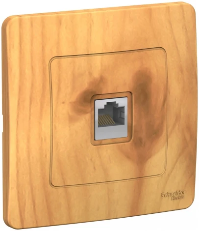 Розетка встраиваемая Ethernet RJ-45 (ясень) Systeme Electric Blanca BLNIS045005