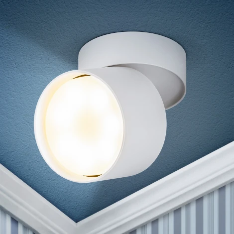 Спот ЭРА OL12 GX53 SWH OL12 GX53 SWH