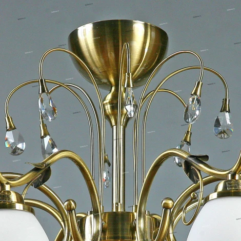 Brizzi Tarragona MA02640C/008 Bronze