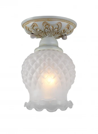 Потолочный светильник Favourite Parma 1385-1U