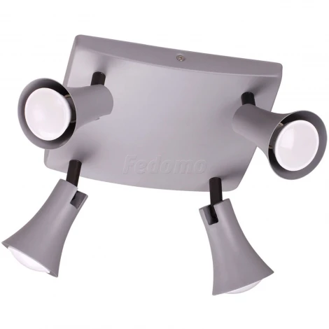 Спот Odeon Light Reanna 3825/4C