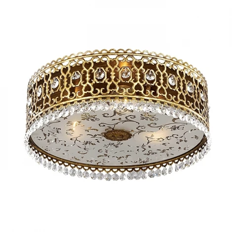 Потолочный светильник Odeon Light Salona 2641/3C