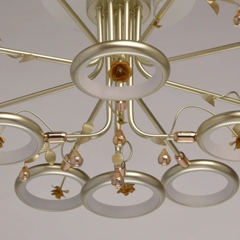 Потолочная люстра MW-Light Ивонна 459011512