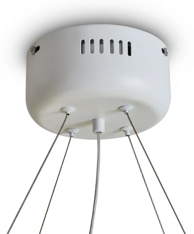 Подвесная люстра Freya Rain FR5546PL-L60W (LED, 220V, на тросе, круглые)