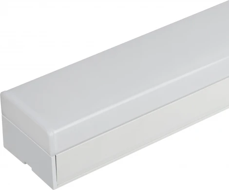 Настенно-потолочный светильник светодиодный ЭРА SML-11-WB-65K-W24 (220V, IP40)