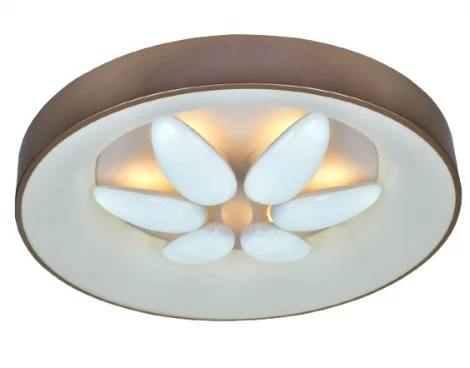 Потолочная люстра Мелодия Света SS1L 000024150