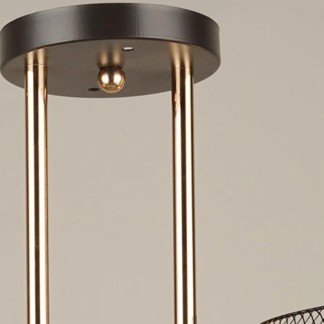 Потолочная люстра на штанге Reluce 04537-0.3-04 (220V)