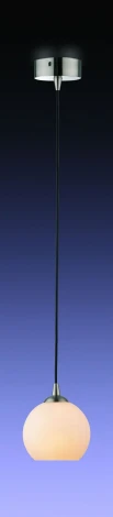 Подвесной светильник Odeon Light Eruca 1343/W