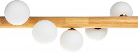 Подвесной светильник Ritter Racemo 52614 8