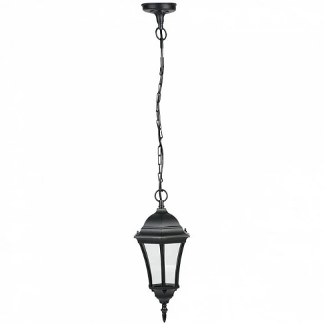 Уличный светильник подвесной Oasis Light 91305S Bl (220V, на цепи, IP44)