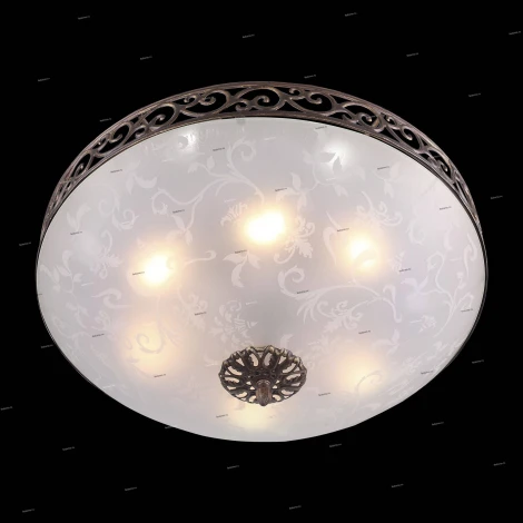 Потолочный светильник ST Luce Mezzo SL244.202.06