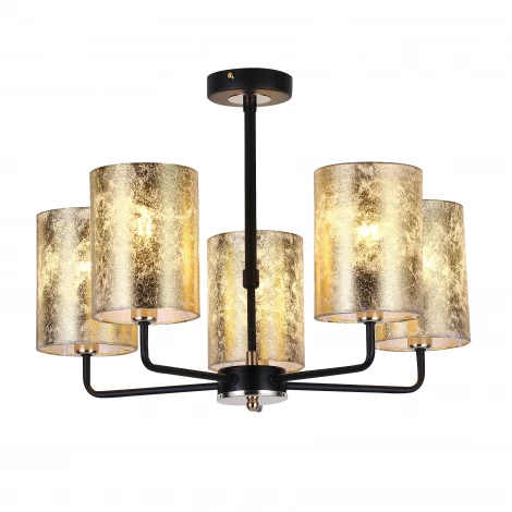 Потолочная люстра F-Promo Fido 2588-5P