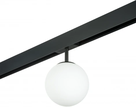 Трековый светильник однофазный 220V Lightstar Teta PRO120107 (шар)