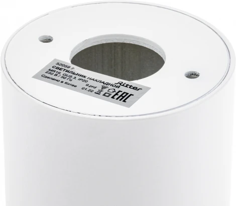 Накладной светильник Ritter Essen 52059 7