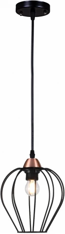 Подвесной светильник ILLUMICO IL2001-1PA-05 BK ROSE GD (220V, на проводе)