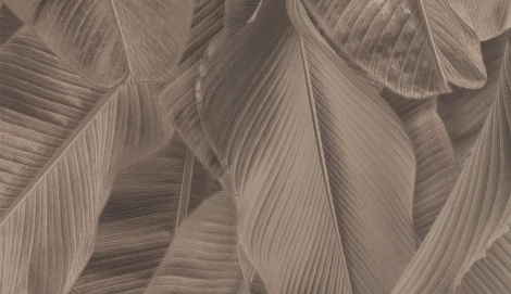 Обои виниловые Limonta Lymphae 17817 10,05 х 0,53 м