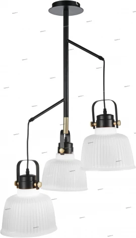 Подвесная люстра ST Luce Aletante SL714.443.03