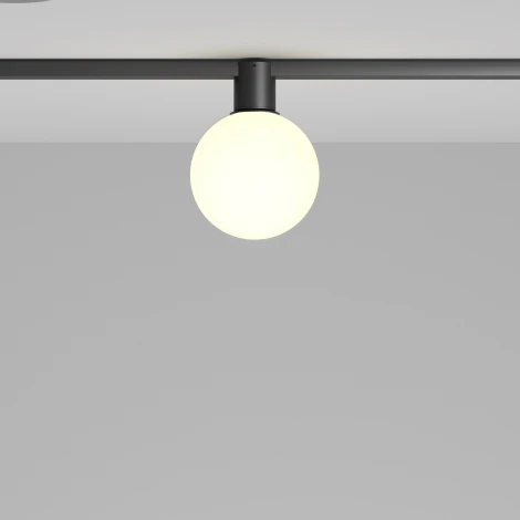 Трековый светильник Maytoni Elasity Luna TR171-1-5W3K-WB (LED, 48V, шар)