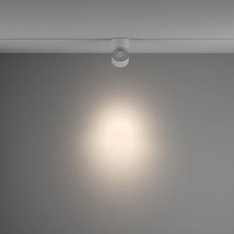 Трековый светильник Yin Unity 4000K 15Вт 24° LED (однофазный) Maytoni Technical TR084-1-15W4K-W (220V, круглые)