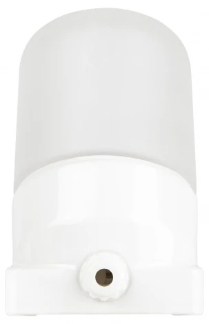 Настенный светильник влагозащищенный ЭРА НББ 02 НББ 02-60-002