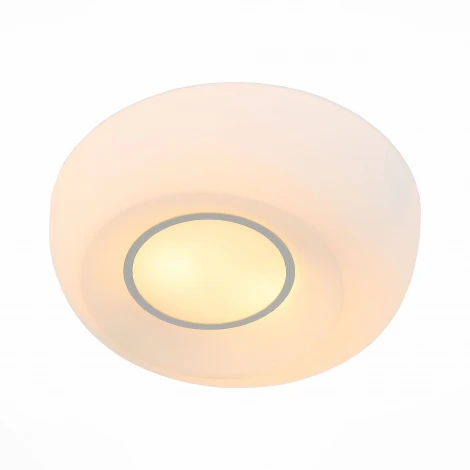 Настенно-потолочный светильник ST Luce Botone SL467.502.02