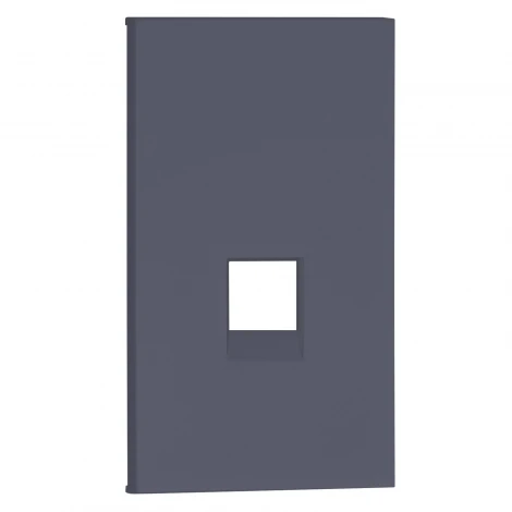 Интернет RG-45/RG11 накладка 2-ух модульная графит матовый Meiton AL07M2