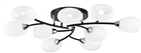 Потолочная люстра на штанге Citilux Флорида CL148195 (220V)