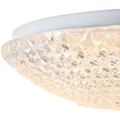 Потолочный светильник Freya Alicia FR6310-CL01-12W-TR