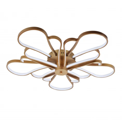 Потолочная люстра F-Promo Bluten 2548-5U