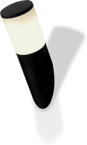 Настенный светильник уличный Fumagalli Amelia DR2.571.000.AYF1R (220V, факел, IP55)